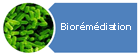 Bioremediation